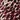 Russet Brown Leopard Print