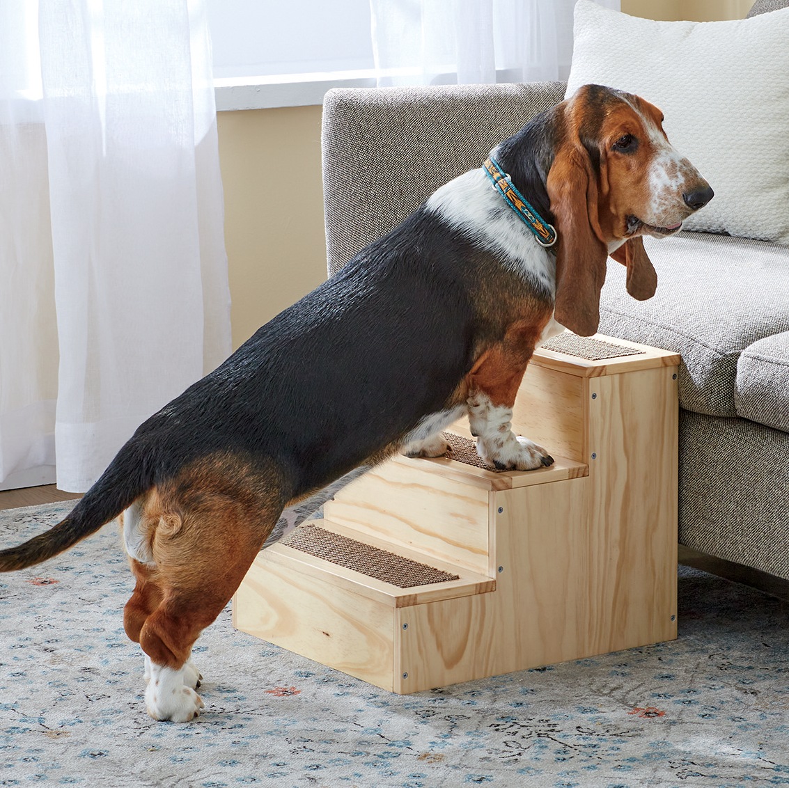 pet steps with storage