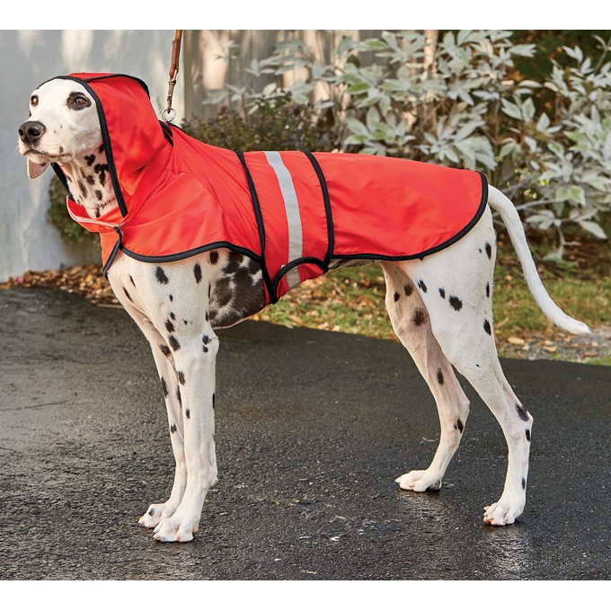 Pet Raincoat, , large