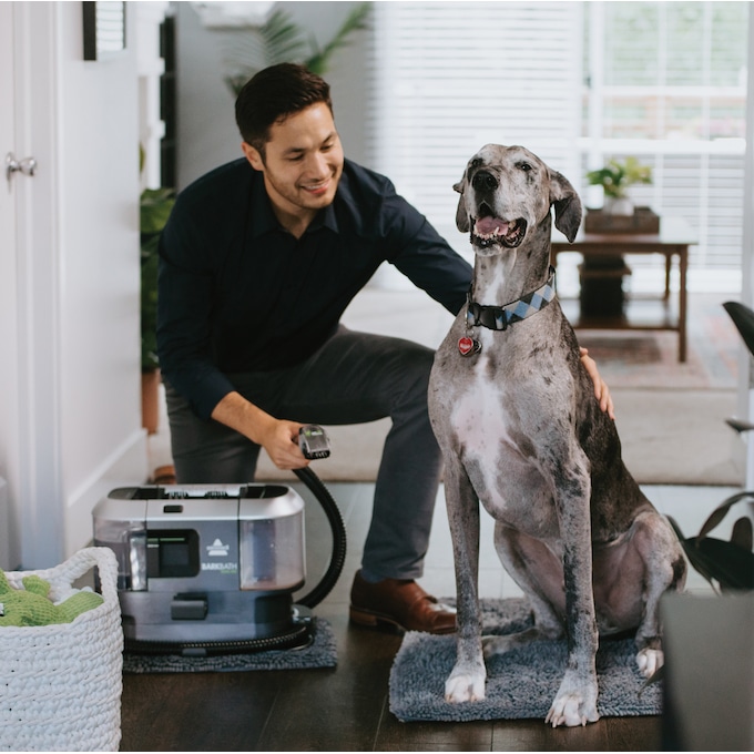 Portable dog store wash