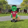 NFL  Inflatable Steinbacker, , large