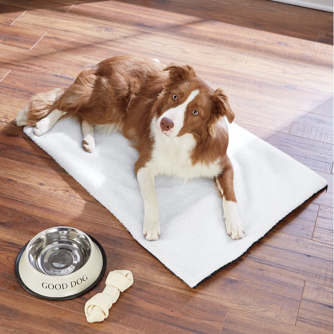 Self-Heating Pet Pad, , large