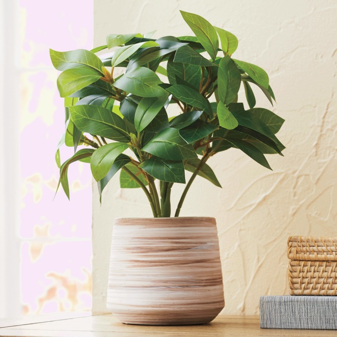 Serene Green Potted Plant, Green, large