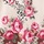 Animal Rose Border