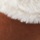 Chestnut
