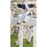 Farm Animal Peekaboo Statues, , large