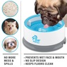Paw Perfect Water Bowl, , large