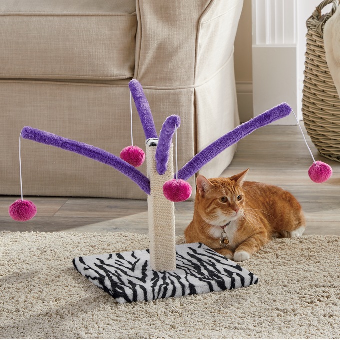 Prevue Pet Bounce &#39;N Spring Scratcher, , large