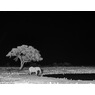 Minolta Camcorder with Night Vision, , large