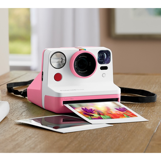 polaroid instant home movies