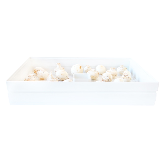 Open Country Digital Food Dehydrator, White, large