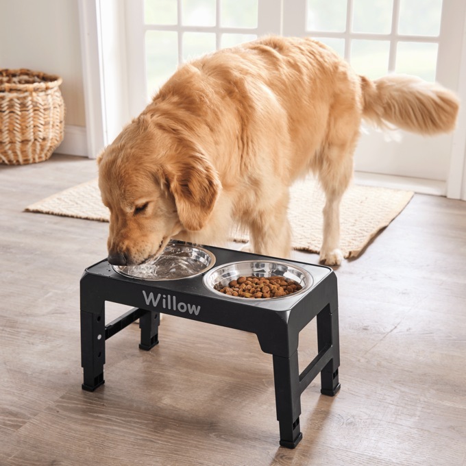 Personalized Adjustable Pet Feeder, , large
