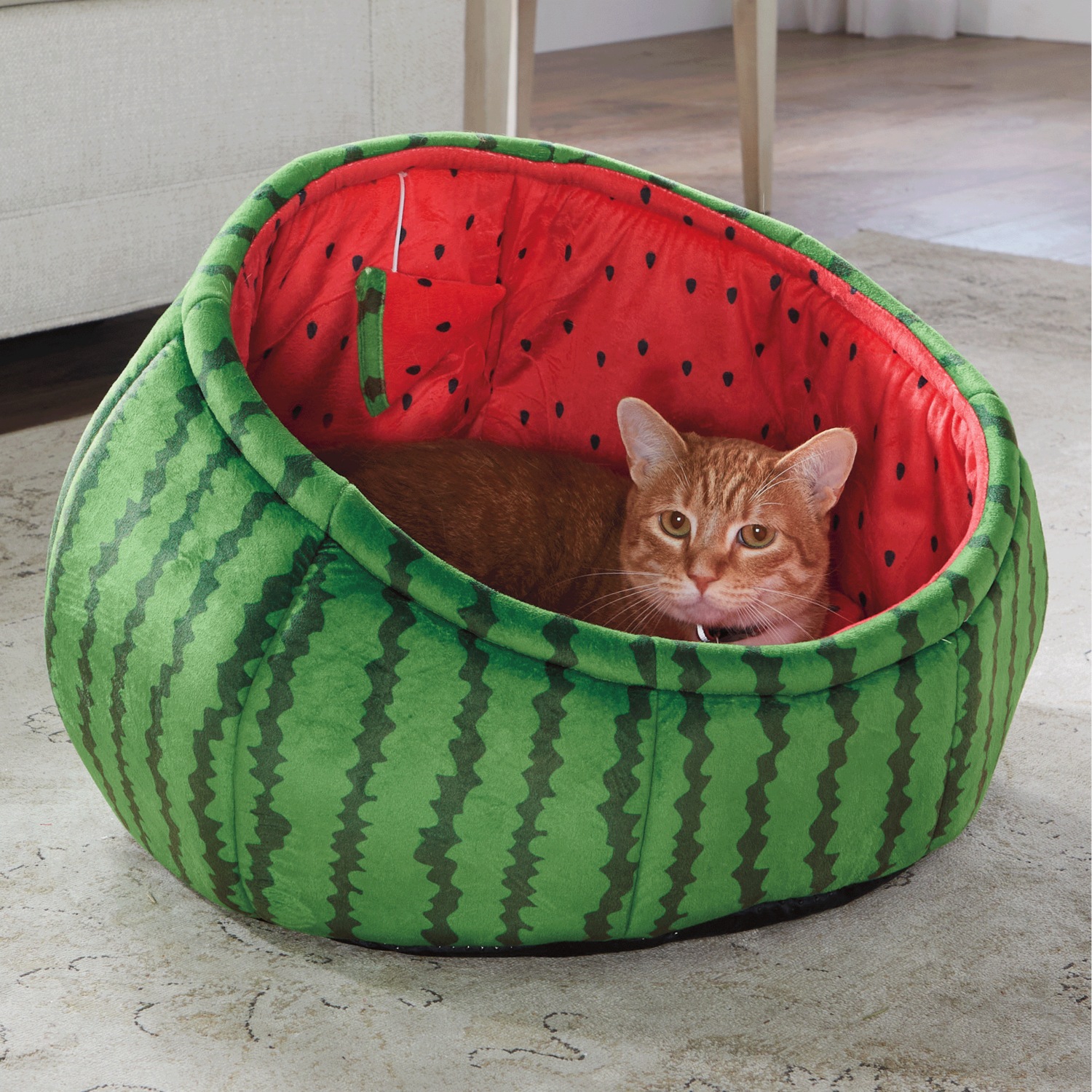 Watermelon Pet Bed Montgomery Ward