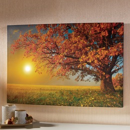 Warm Fall Day LED Lit Canvas, , large