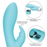 Eden Bunny, , large