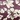 Color Connection 2-Pack Floral and Geo Printed Microfiber Sheet Set, Violet, swatch
