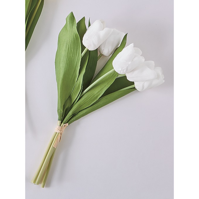 Tulip Stems, , large