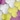 Quanda Double Collar Fit-and-Flare Dress, Purple Multi, swatch