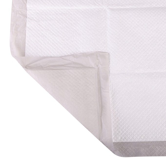 Ultra Absorbent Training Pads, , large