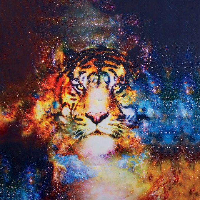 Cosmic Tiger Comforter Set Montgomery Ward