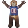 NFL Inflatable Mascot, , large