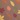 Color Connection Leaves Microfiber Sheet Set, Chocolate, swatch