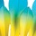Blue Daisy