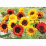 Sunflower Flower Mat, , large