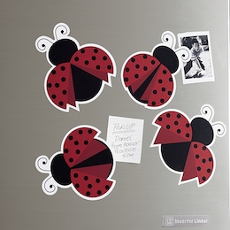 Set of 4 Assorted Magnets, , large