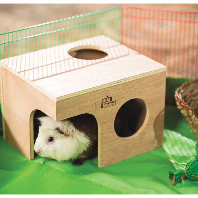 Prevue Pet Guinea Pig Hut, , large