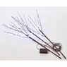 Lit Willow Branches, , large
