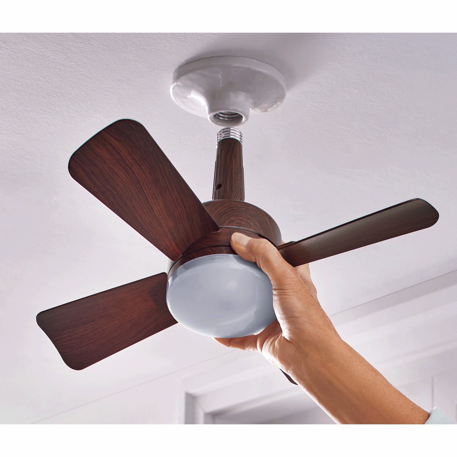 Bell+Howell Socket Fanlight | Montgomery Ward