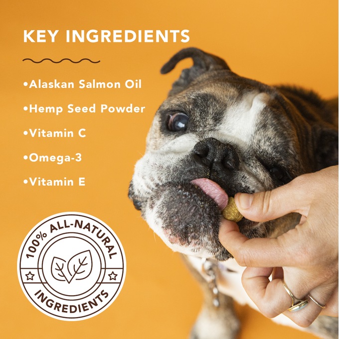 Natural Dog Company Skin & Coat Supplement, , large