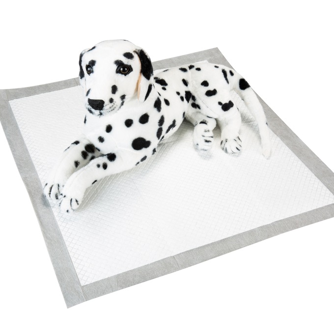 Ultra Absorbent Training Pads, , large