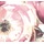 Pink Watercolor Floral