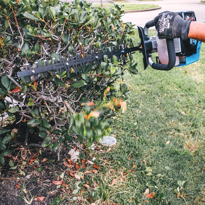 Pulsar 2-Stroke 20" Hedge Trimmer, Blue, large