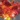 Multicolor Lit Flower in Cloche, Red, swatch