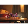 LEGO The Never Witch's Nightmare Creatures, , large
