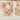 Bedtite Toile Microfiber Sheet Set, Taupe, swatch