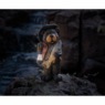 Solar Fisherman Bear, , large