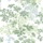 Queen Anne's Lace Green