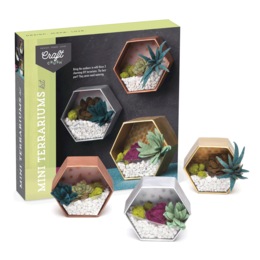 Craft Crush Mini Terrariums Kit, , large
