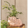 Farm Animal Planter, , large