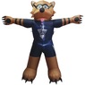 NFL Inflatable Mascot, , large