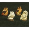 Set of 4 Decorative Solar Owls, , large