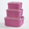 6-Piece Plastic BPA-Free Food Storage Set, Berry Bliss, large
