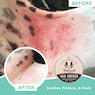 Natural Dog Company 2-oz. Skin Soother, , large