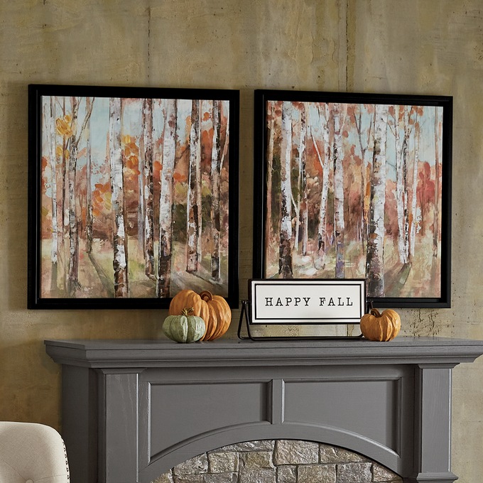 Set of 2 Birch Forest Framed Wall Art, , large