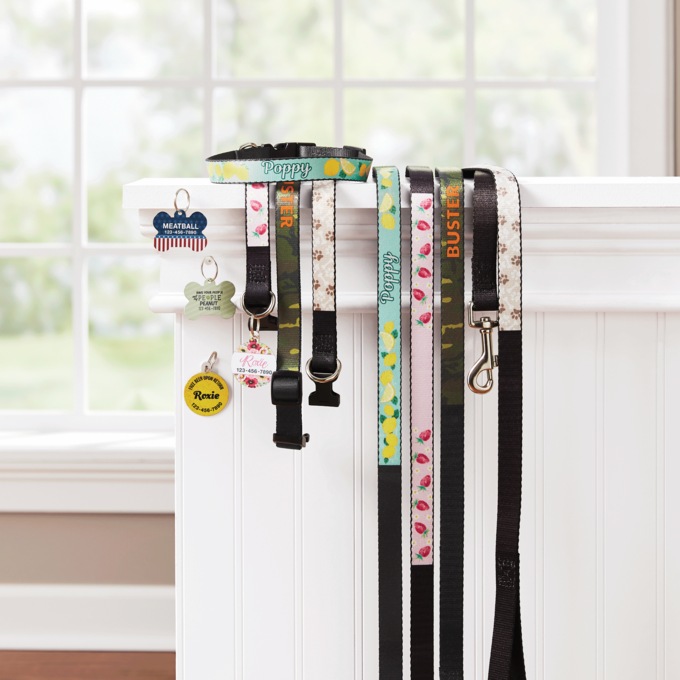 Personalized Dog Leash, , large