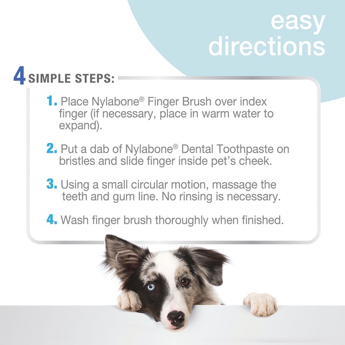 Nylabone Advanced Oral Care Finger Brush, , large